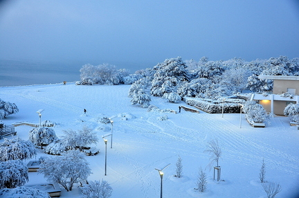 DSC 0026