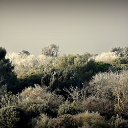 20250105 - Porte Océane